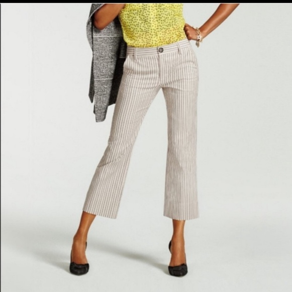 Cabi tick-tock crop